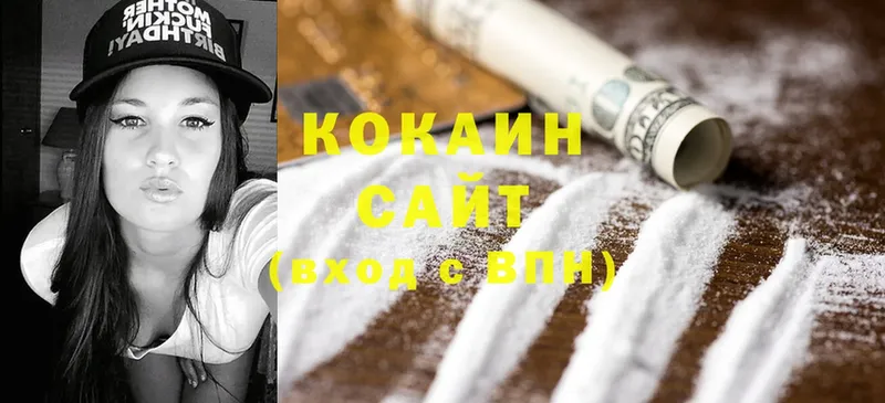 купить закладку  Бородино  COCAIN Fish Scale 