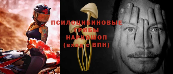 Альфа ПВП Богородск