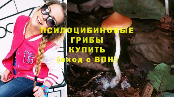 не бодяженный Богданович