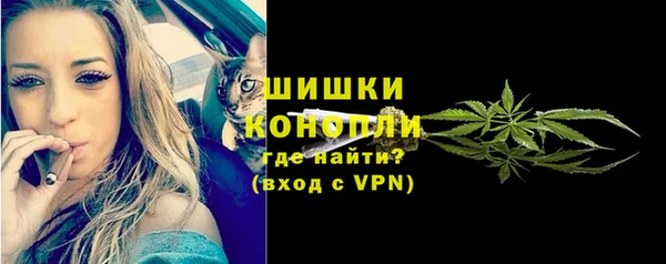 Альфа ПВП Богородск