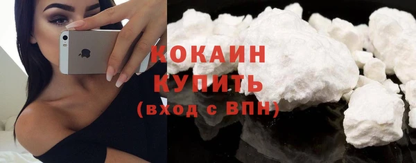 PSILOCYBIN Богородицк