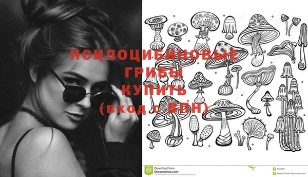 не бодяженный Богданович
